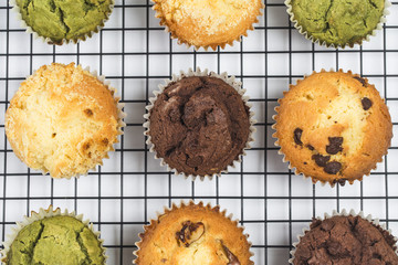 Muffin Cake, tea cake, chocolate cake, walnut cake,