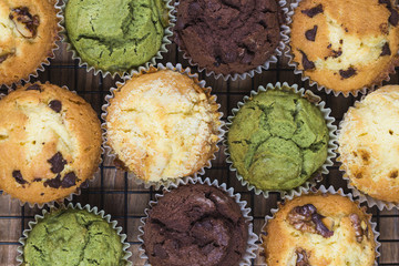 Muffin Cake, tea cake, chocolate cake, walnut cake,