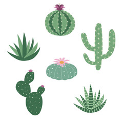 green house plants cactus peyote haworthia aloe sansevieria icon set vector - 195185356