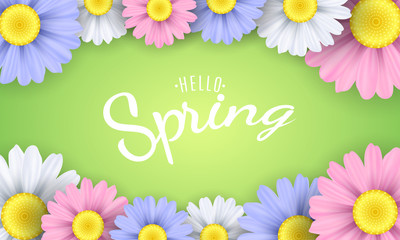 Hello spring phrase. Seasonal poster. Multicolor camomile flowers on a green background. Vector illustration