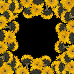 Beautiful floral background with sunflower 