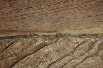 Zion National Park