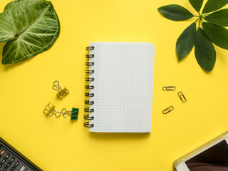 Fototapeta na wymiar Business flat lay with copy space, calculator, pencil, Notepad on colorful yellow background Plants green leaves