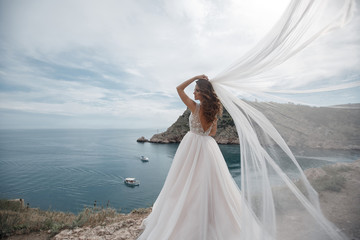 Fototapeta na wymiar Beautiful bride stands on a cliff above the sea in a glamorous white wedding dress view of veil.Romantic beautiful bride in white dress posing on the background sea. Happy Wedding Day.
