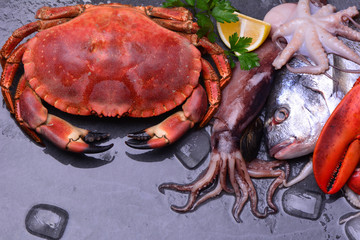 The freshest seafood for every taste