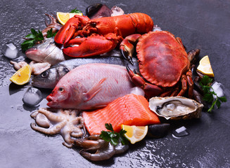 The freshest seafood from around the world