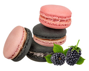 Macaron blueberry blackberry raspberry isolated on white background with clipping path