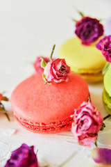 bright colored macaroons, French dessert, close-up, macro