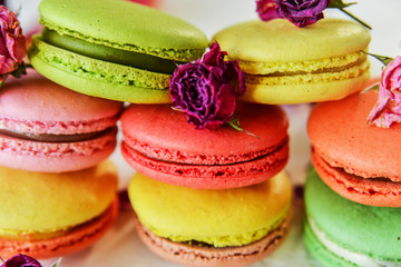 background of pastel colors macaroons and pink petals, close-up