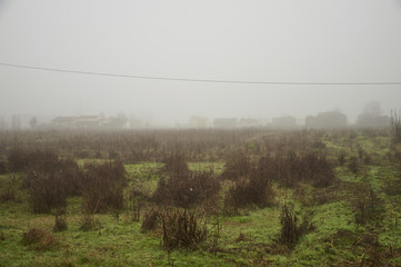 Pianura Padana winter landscapes
