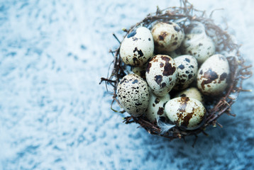 Quail eggs with a nest on blue stone background