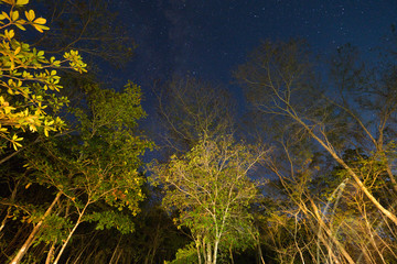 Night sky in Chapada dos Veadeiros, Goias, Brazil