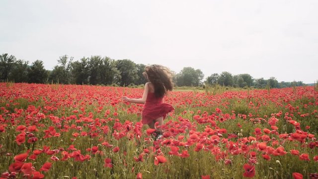 Sensual girl in poppy field. Young girl in the field. Girl laying in the field. Girl having fun in the flower field. Fild of flowers.