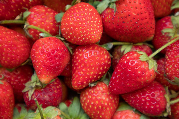 freshly ripe strawberries background