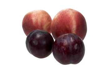 Peach and Plum Fruit