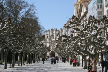 Obraz premium Bourgas. Spring. Antiquity. Spain. Europe