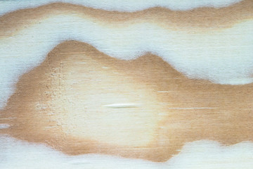 Closed up of wood texture