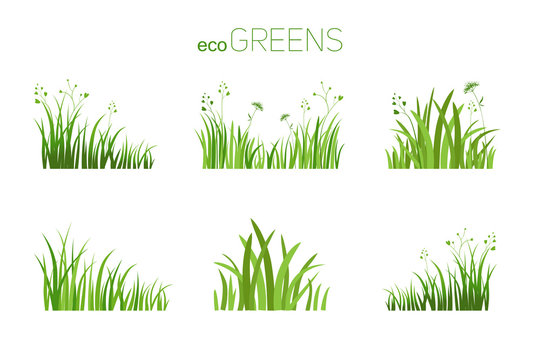 Eco icon grass