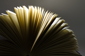 old book art on white background