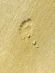 Fototapeta na wymiar children foot in sand
