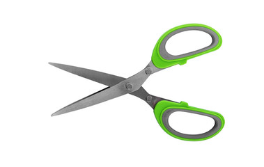 Kitchen scissors for cutting greenery.