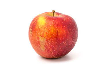 Apfelsorte Wellant