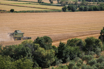 Fototapeta premium Camargue Landschaft, Provence