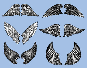 Set of the various fictional wings