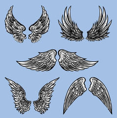 The different fictional wings