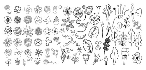 Fototapeta na wymiar Hand drawn vintage floral design elements