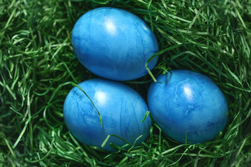Painted Easter eggs blue on green grass in a wicker basket.