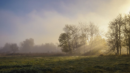 Fototapeta na wymiar Early Morning Mist