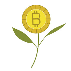 plant with bitcoins icon vector illustration design