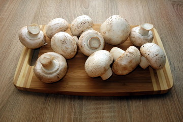 Fresh champignon mushrooms, natural diet ingredient