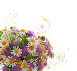 Daisy and scabious flowers bouquet isolated.