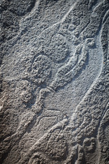 Deer stone in Mongolia