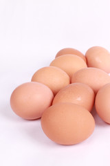 Egg isolated on white background