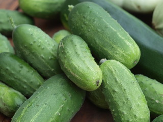 Green cucumbers arranged in the sun on the wooden terrace next to the garden. theT͟Hē,T͟Hə the – definicje przedimek denoting one or more people or things already mentioned or assumed to be common kno - obrazy, fototapety, plakaty