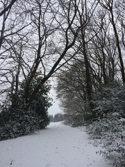 Weg ins Licht im Schnee