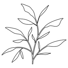 leafs plant ecology icon vector illustration design