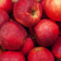 Fototapeta na wymiar Red apples background. Organic Ripe apples at market. Harvesting concept.