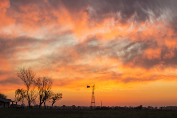 Fototapeta premium Atardecer en el campo