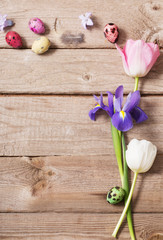Easter eggs with spring flowers on wooden background