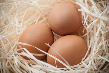closeup of chicken eggs in a nest