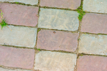 Old cobblestone background with grass