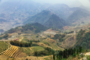 Landscape with step ladder farm and mountain with fog in the evening in summer at Sa Pa, Vietnam.