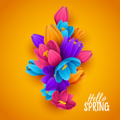 Colorful spring background with beautiful flowers. Vector illustration.