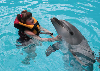 Happy child and dolphins in blue water. Dolphin Assisted Therapy