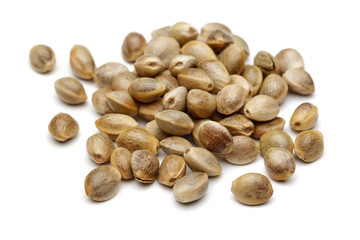 Obraz premium Hemp seed