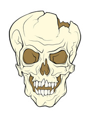 The skull of a grinning vampire. Vector color illustration of a tattoo style isolated on a white background.